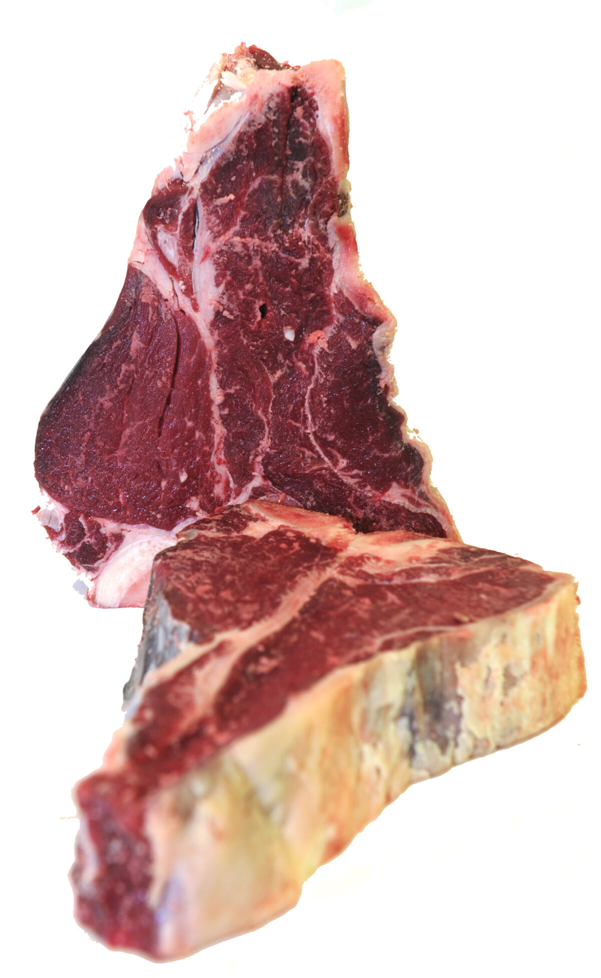 Bistecche di Scottona